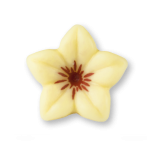 ΔΙΑΚΟΣΜΗΤΙΚΑ ΣΟΚΟΛΑΤΕΝΙΑ ΛΟΥΛΟΥΔΙΑ JASMIN KOKKINO 30.5X15MM / TEM 76